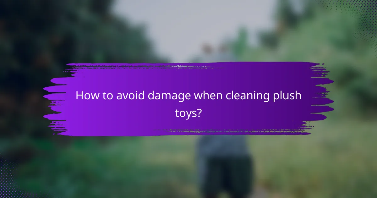 How to avoid damage when cleaning plush toys?