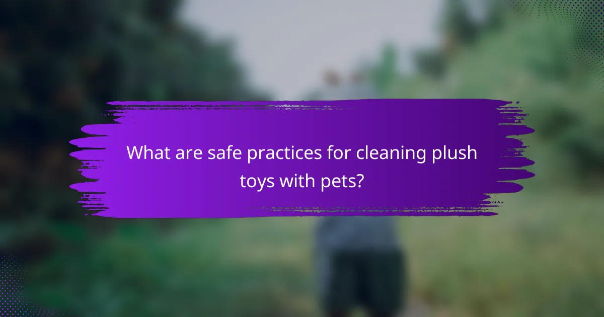 What are safe practices for cleaning plush toys with pets?