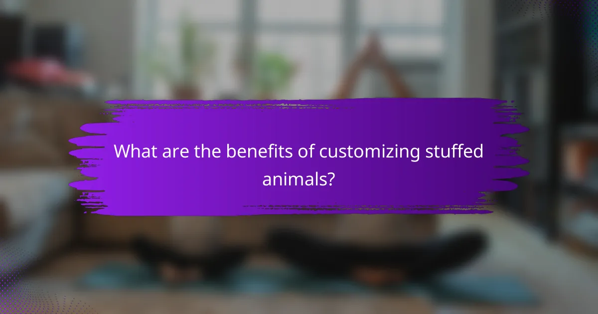 What are the benefits of customizing stuffed animals?