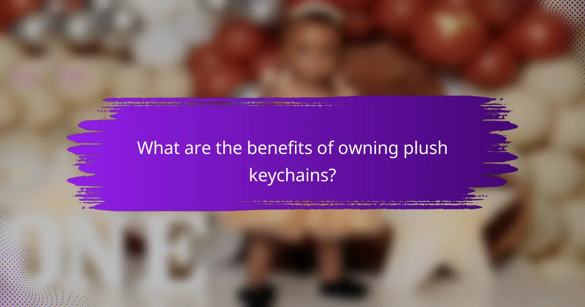 What are the benefits of owning plush keychains?