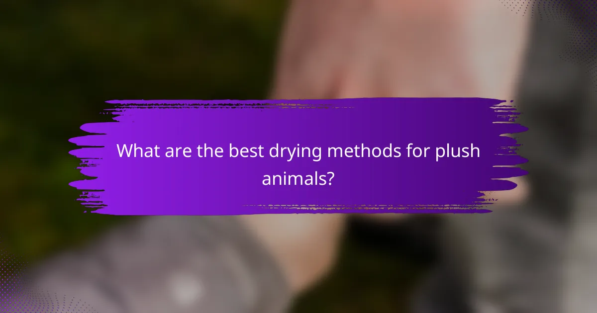 What are the best drying methods for plush animals?