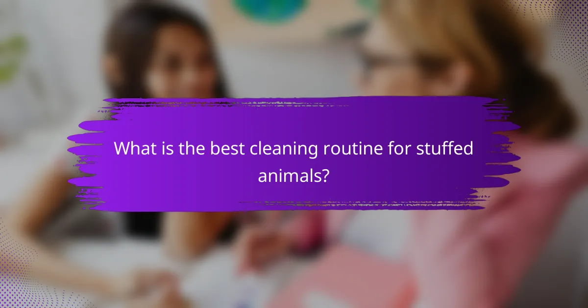 What is the best cleaning routine for stuffed animals?