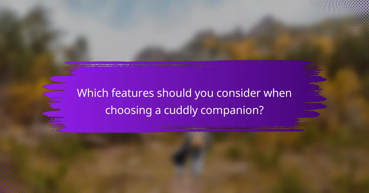 Which features should you consider when choosing a cuddly companion?